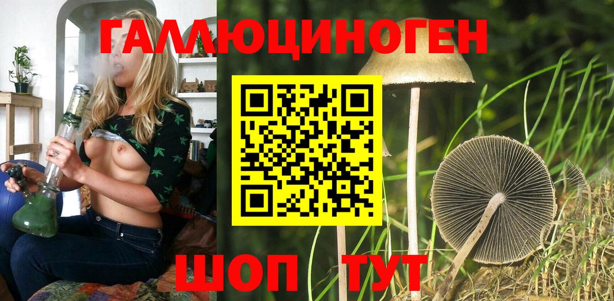 Галлюциногенные грибы Psilocybine cubensis Кулебаки