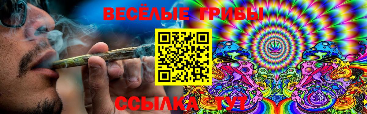 Галлюциногенные грибы мицелий  Вход с VPN  Кулебаки 